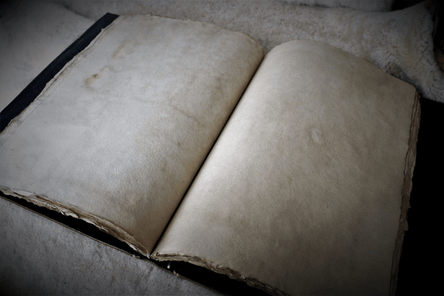 Carnet en cuir  repoussé "La liseuse"