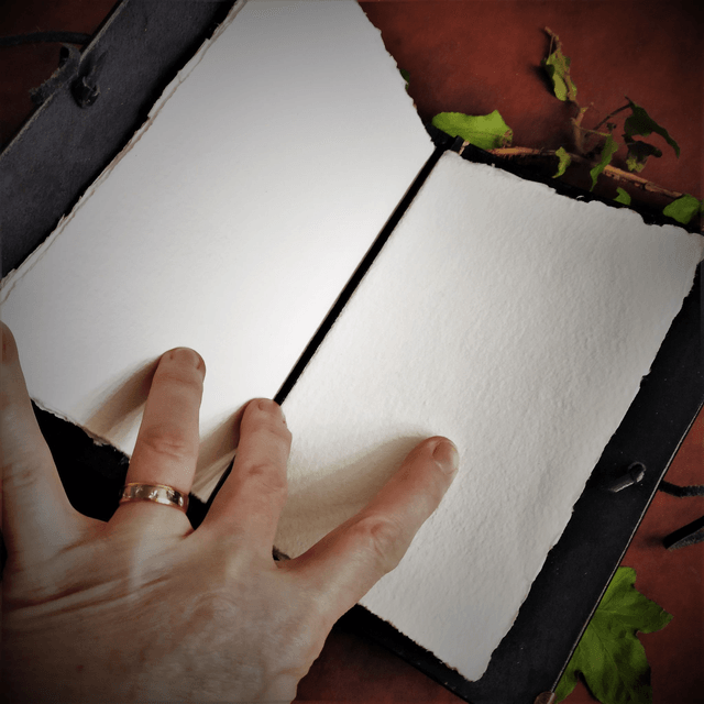 Carnet étoile de lierre