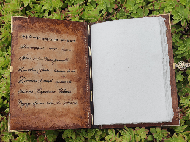 Carnet en cuir repoussé doré, féérique