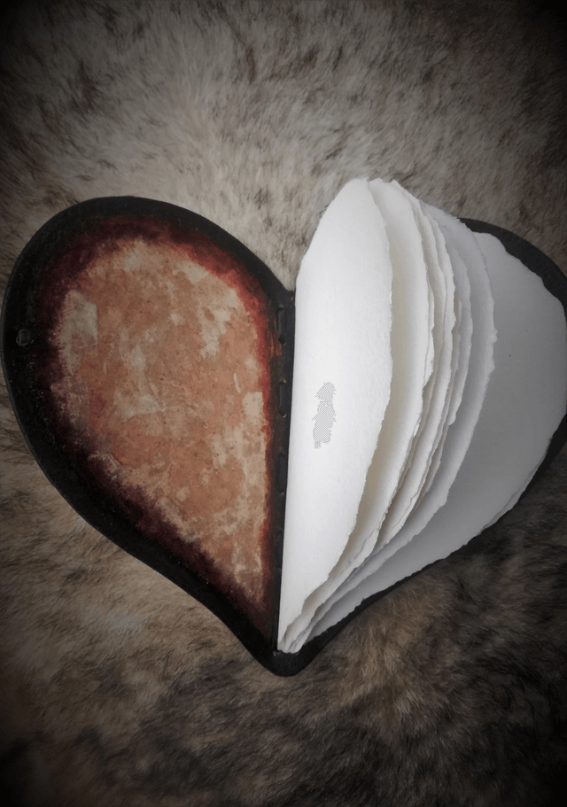 Carnet en cuir coeur de plumes